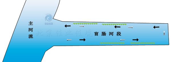 HDP河湖水域直接凈化技術(shù)（針對(duì)非流動(dòng)河流）