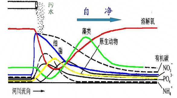 水體自凈能力